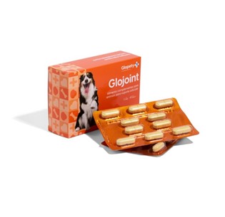 Glojoint