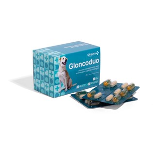 Gloncoduo 