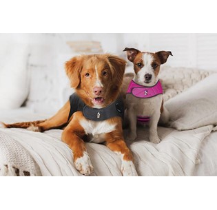 Thundershirt - Colete Relaxante