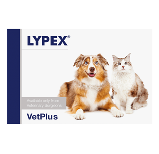 LYPEX® Cão e Gato