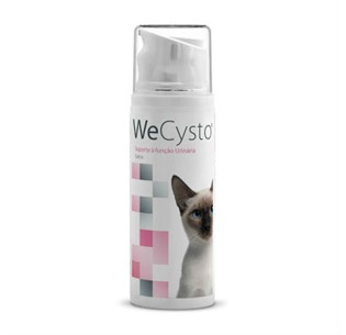 WECYSTO 100mL