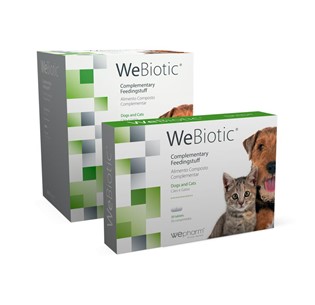 WEBIOTIC comprimido/chew