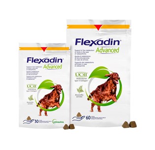 Flexadin Advanced Cão