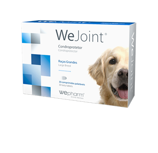 WeJoint Cão grande