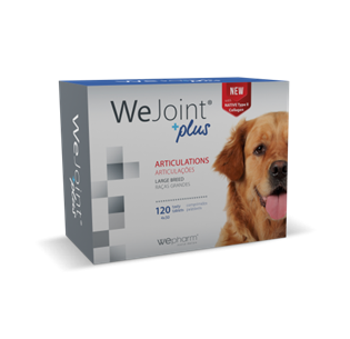 WeJoint Plus Cão grande