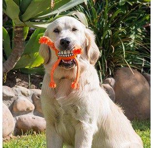 Brinquedo Rogz Flossy Grinz Oralcare 