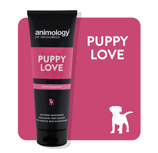 Animology Puppy Love Shampoo