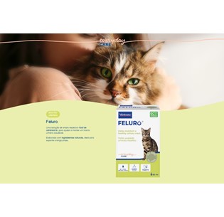Feluro 60mL