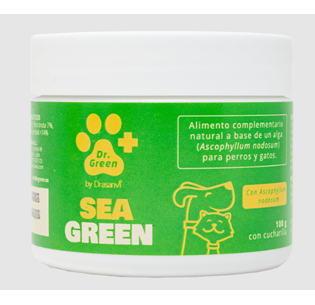 SeaGreen Dr Green