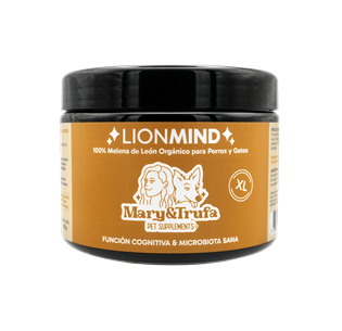 Mary&Trufa: LionMind