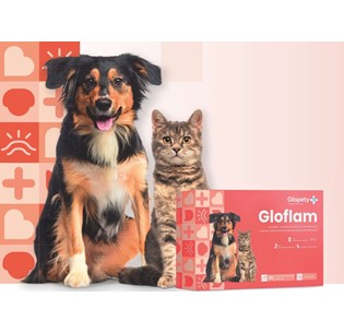 GloFam 100mg Cão e Gato
