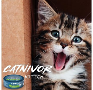 CATNIVOR Gatinho - alimento húmido