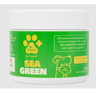 SeaGreen Dr. Green