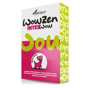Inteswow Cães
