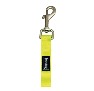 Trela Neon Fluorescente Verde