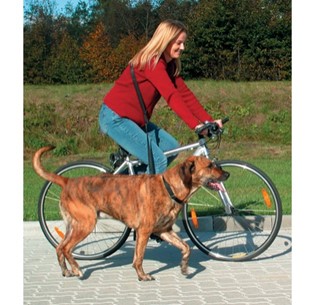 Trela para Jogging e Bicicleta 