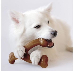 Benebone Wishbone Bacon